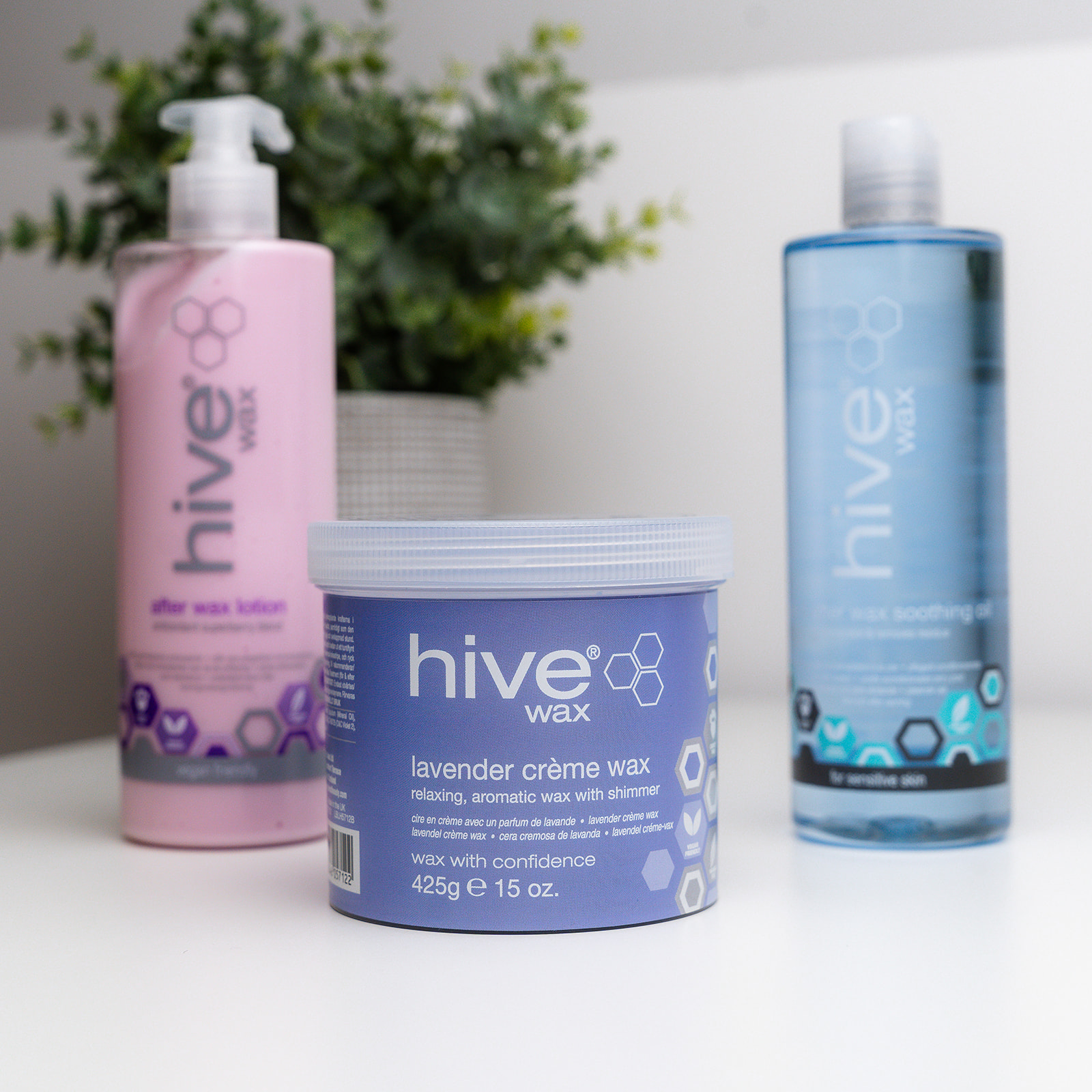 Hive